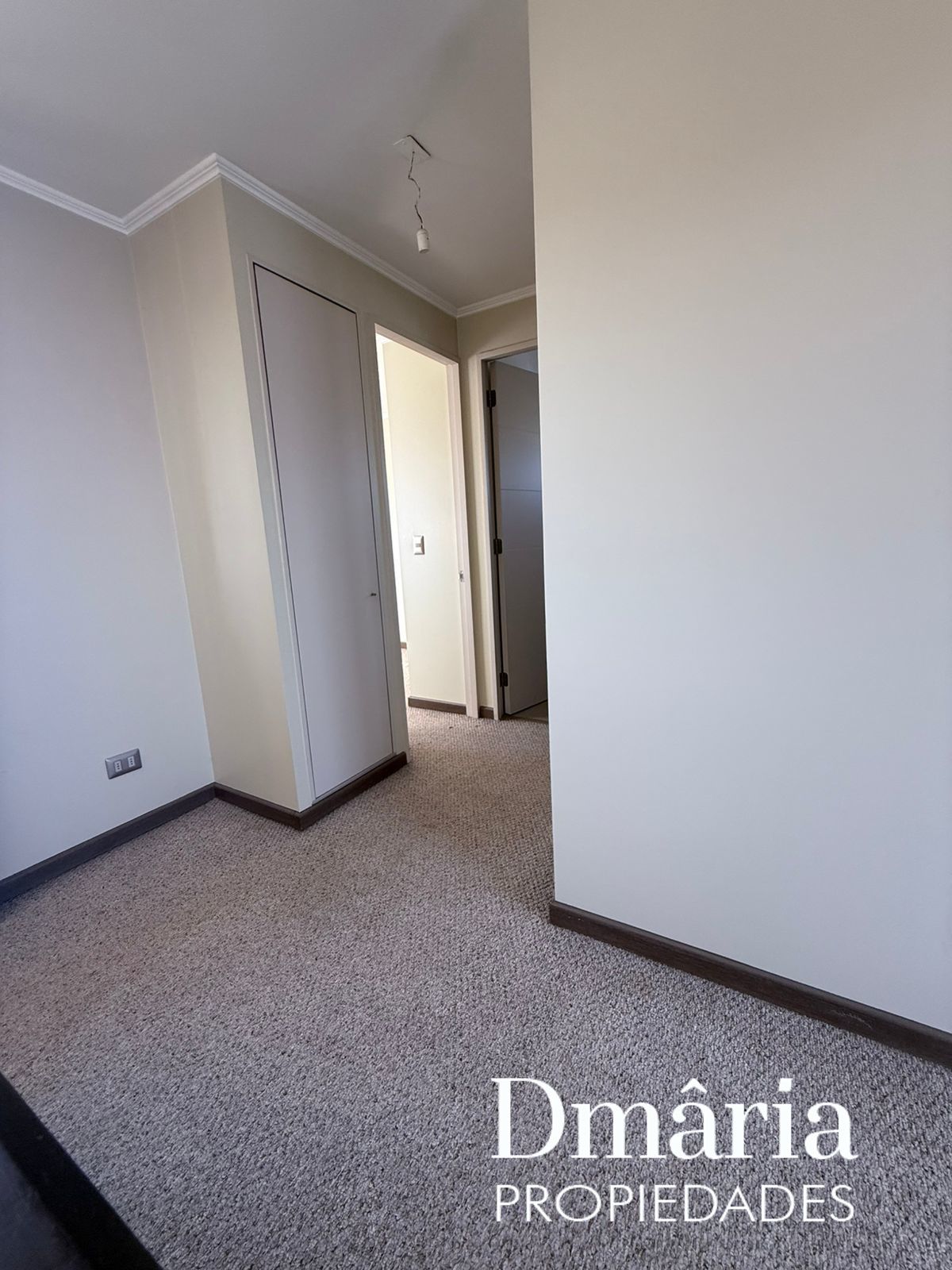 WhatsApp Image 2025-07-08 at 10.28.15 PM_68705af7b3d41.jpeg